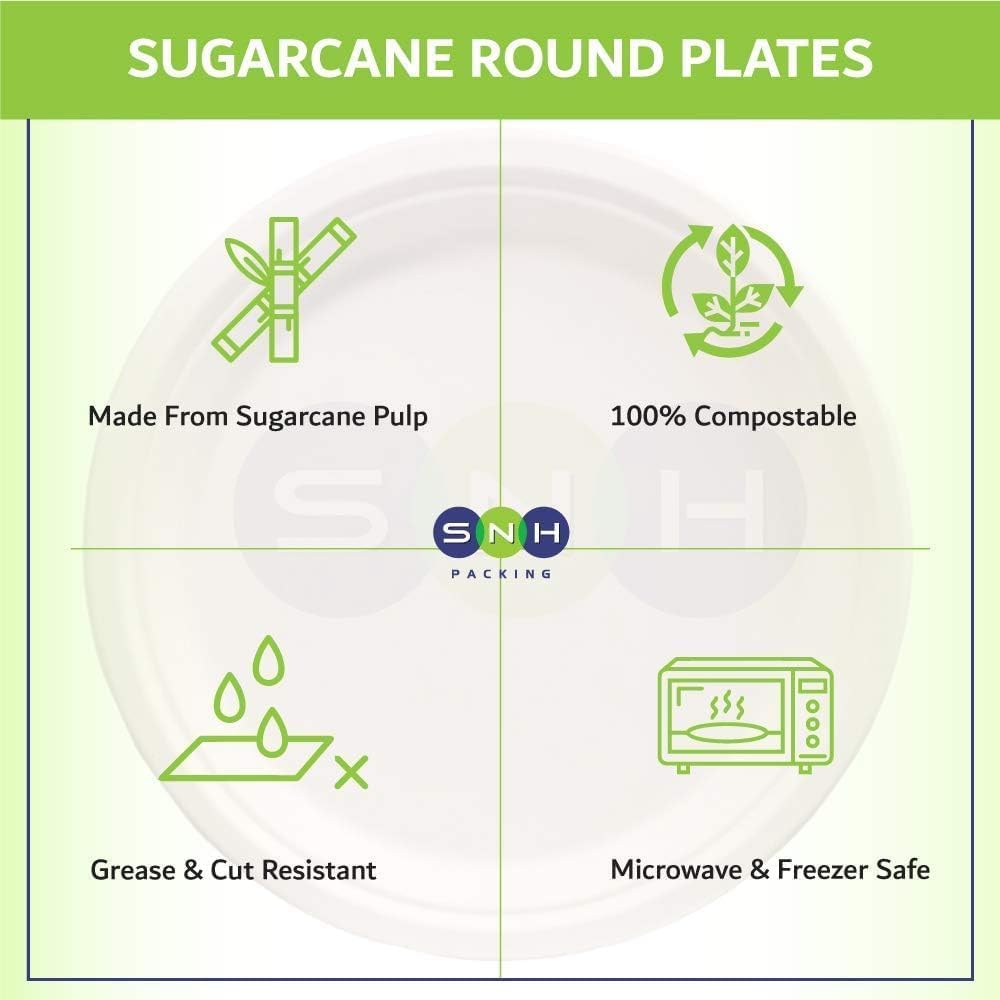 Eco Friendly Bagasse Biodegradable Plate 10 Inch Disposable