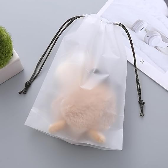 Shoe Bags for Travel Transparent Organizers Pouch