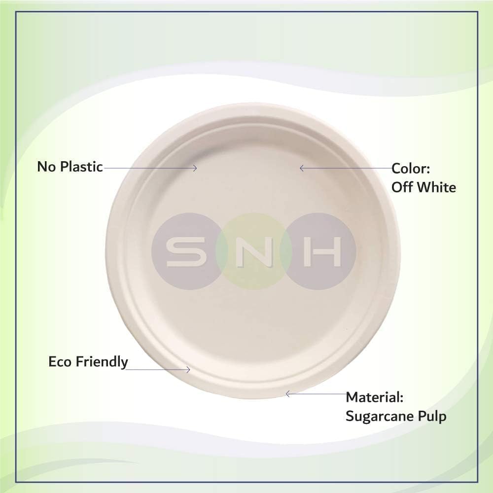 Eco Friendly Bagasse Biodegradable Plate 10 Inch Disposable