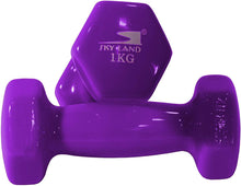 Load image into Gallery viewer, Classical Dumbbells Hand Weights Set Vinyl Coated Exercise Fitness