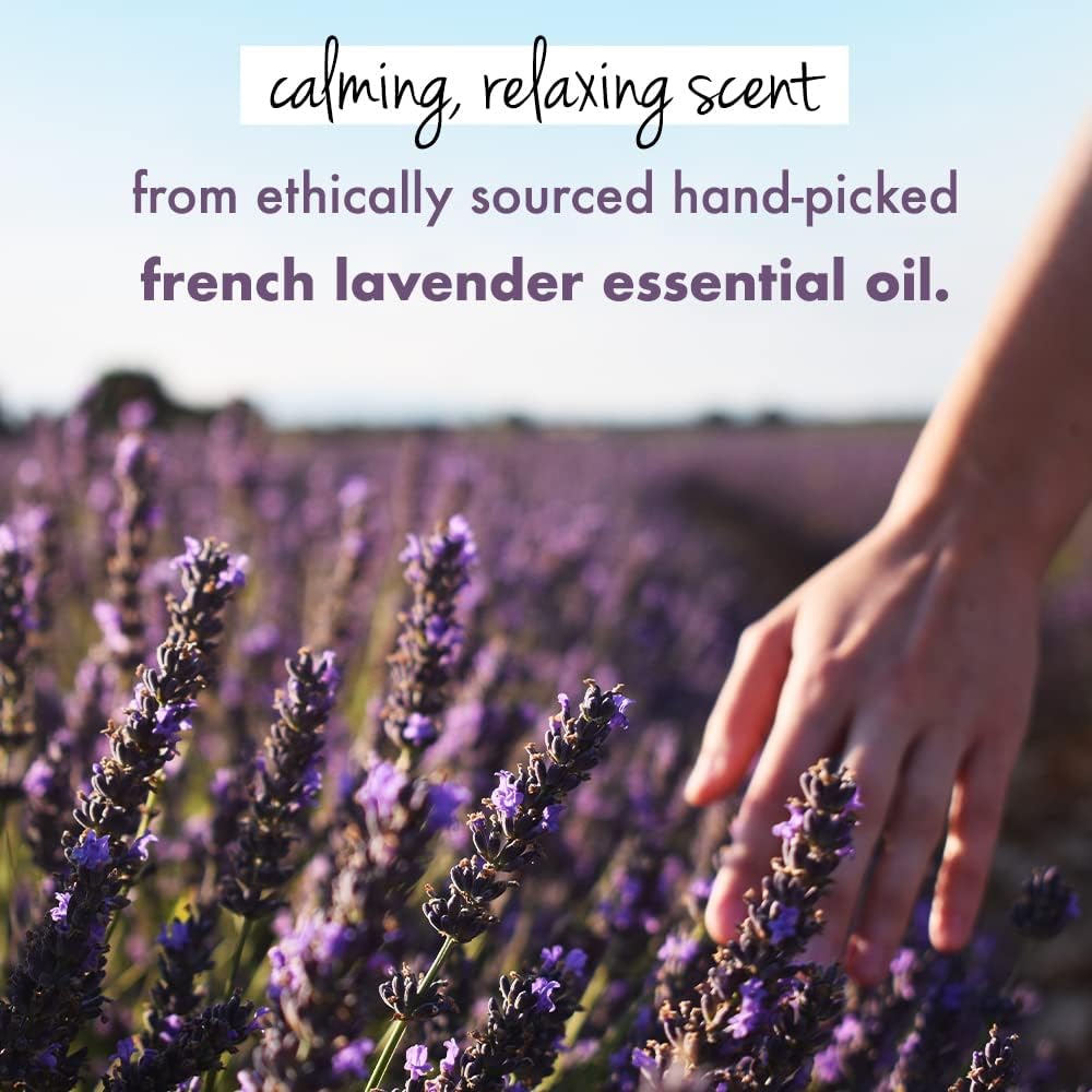 Love Beauty Planet Argan Oil Lavender Hair Mask