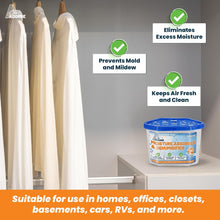 Load image into Gallery viewer, Moisture Absorbers Boxes 6 Pack Humidity Absorber Unscented