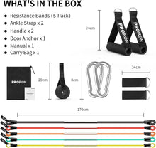 Load image into Gallery viewer, PROIRON Resistance Bands Set with Handles and Accessories