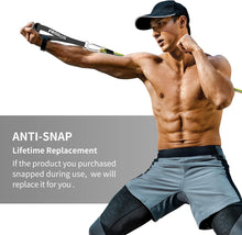 Load image into Gallery viewer, PROIRON Resistance Bands Set with Handles and Accessories