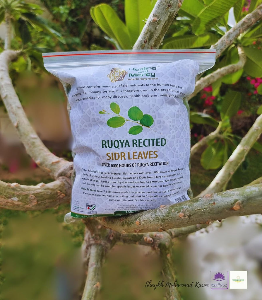 Healing And Mercy Sidr Leaves Organic Herbal Remedy Ruqya