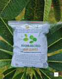 Healing And Mercy Sidr Leaves Organic Herbal Remedy Ruqya