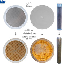 Load image into Gallery viewer, Blu Ionic Shower Head and Filter Removes Chlorine