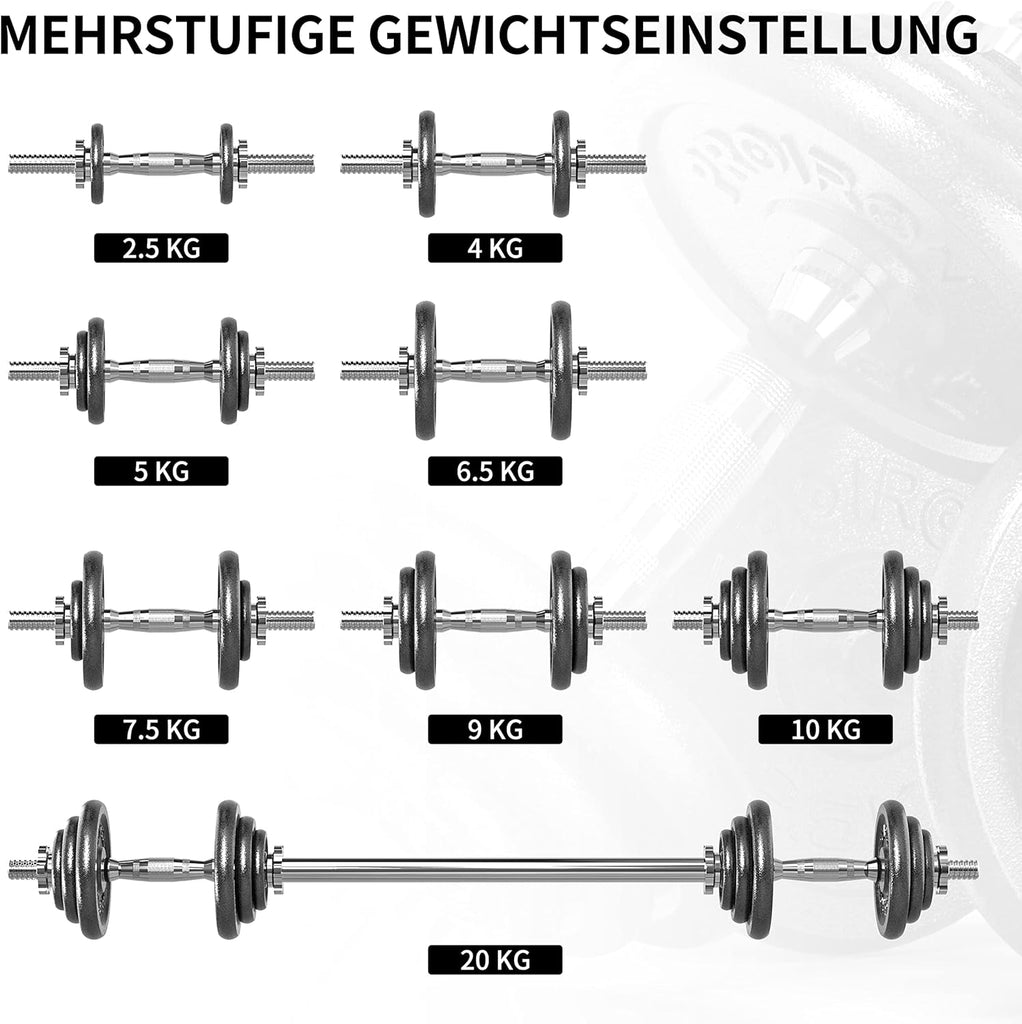 Cast Iron Weight Plates Set Various Sizes for Dumbbell Handle