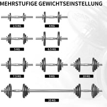 Load image into Gallery viewer, Cast Iron Weight Plates Set Various Sizes for Dumbbell Handle